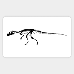 Dinosaur skeleton Magnet